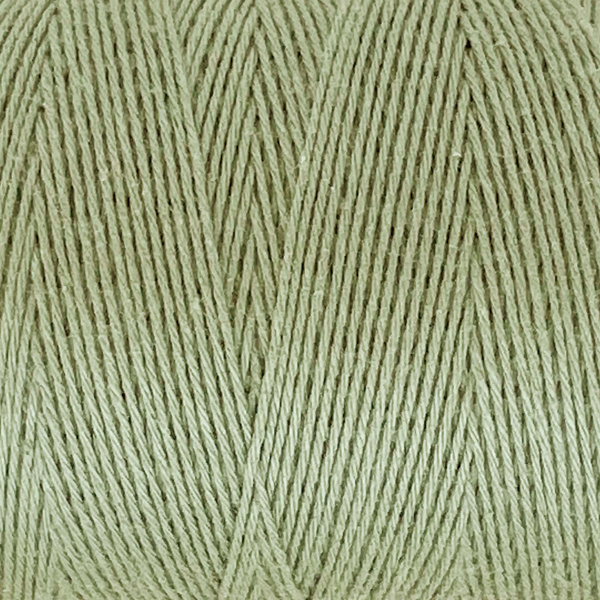 8/4 Cotton Warp Yarn - Natural and Colors - The Creativity Patch - Lucy  Jennings